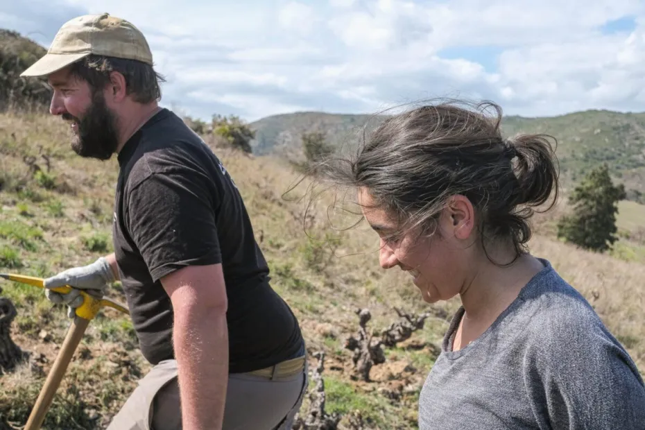 Carmen et Martin au travail dans les vignes